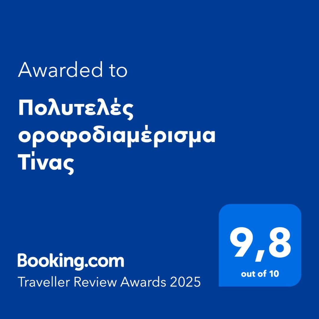 Πολυτελές Οροφοδιαμέρισμα Τίνας 沃洛斯 外观 照片
